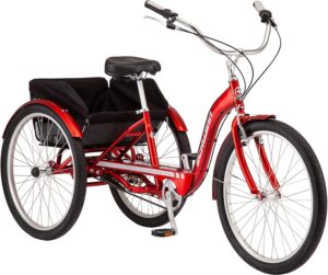 cargo tricycle for adults