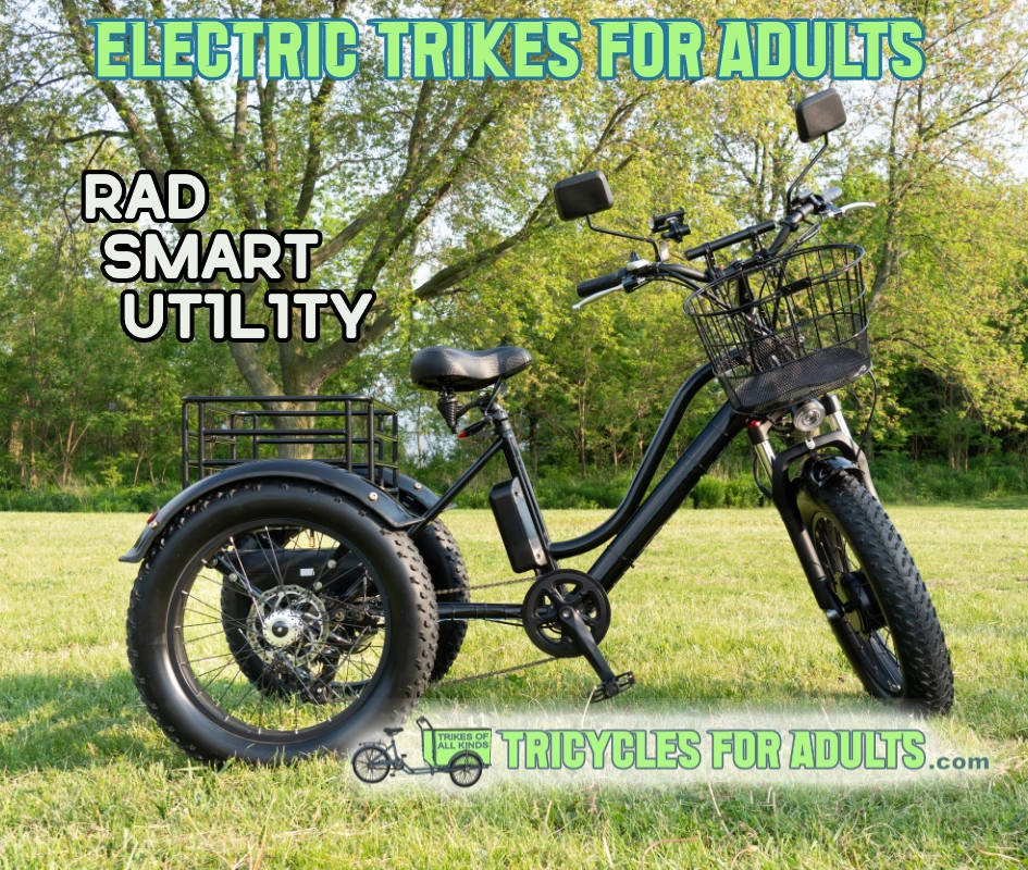electric trike for adults parked in a park